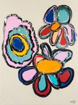 tom fahrentrapp - a creative without direction