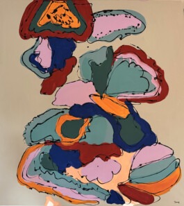 tom fahrentrapp - a creative without direction